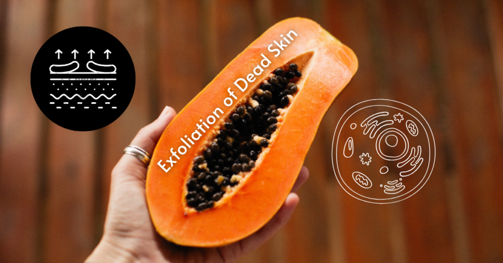 Benefits of Papaya for Skin to exfoliation of dead skin