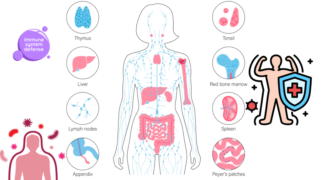 Atopic Dermatitis (Eczema) Signs, and Best Treatment Treatment Methods for Atopic Dermatitis Immune System Dysfunction